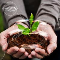 Вселенная под ногами: как микробиом почв определяет жизнь на Земле Вселенная под ногами: как микробиом почв определяет жизнь на Земле