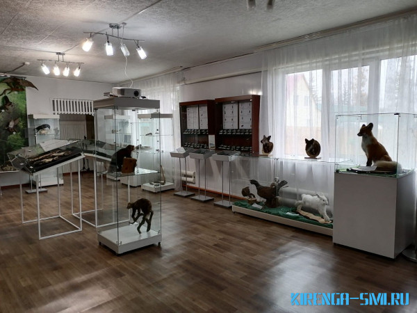 Библиотеку и краеведческий музей модернизировали в Казачинско-Ленском районе